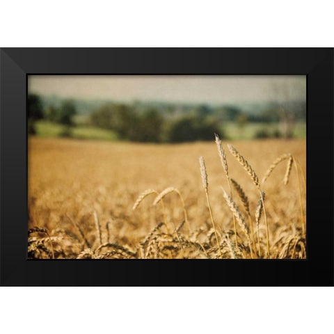 Blissful Country I Black Modern Wood Framed Art Print by Urquhart, Elizabeth