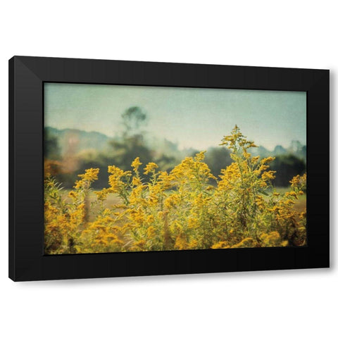 Blissful Country IV Black Modern Wood Framed Art Print by Urquhart, Elizabeth