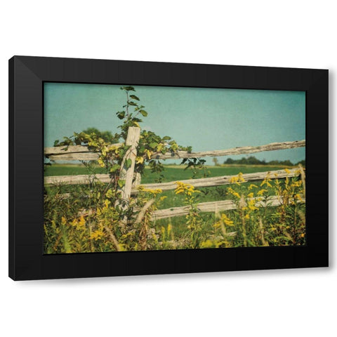Blissful Country V Black Modern Wood Framed Art Print with Double Matting by Urquhart, Elizabeth