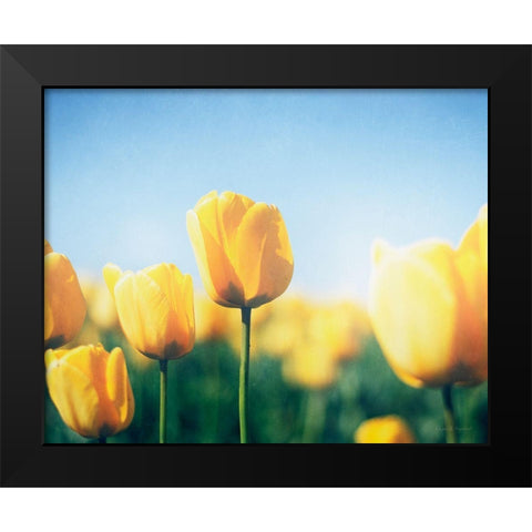 Sunny Blooms III Black Modern Wood Framed Art Print by Urquhart, Elizabeth