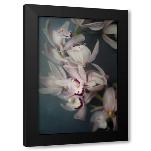 Dark Orchid I Black Modern Wood Framed Art Print with Double Matting by Urquhart, Elizabeth