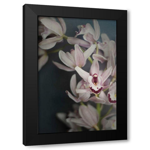 Dark Orchid II Black Modern Wood Framed Art Print by Urquhart, Elizabeth