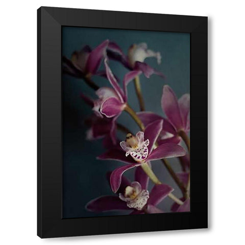 Dark Orchid IV v.2 Black Modern Wood Framed Art Print with Double Matting by Urquhart, Elizabeth