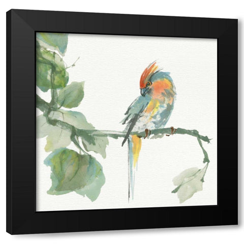 Crested Cockatoo Black Modern Wood Framed Art Print by Paschke, Chris