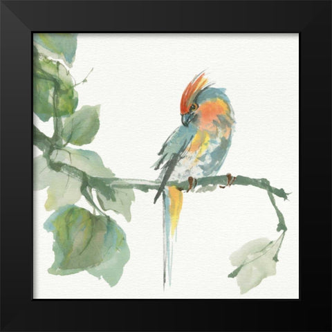 Crested Cockatoo Black Modern Wood Framed Art Print by Paschke, Chris