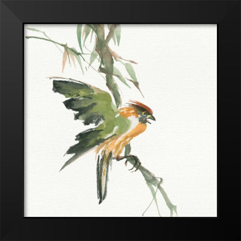 Formosan Firecrest Black Modern Wood Framed Art Print by Paschke, Chris