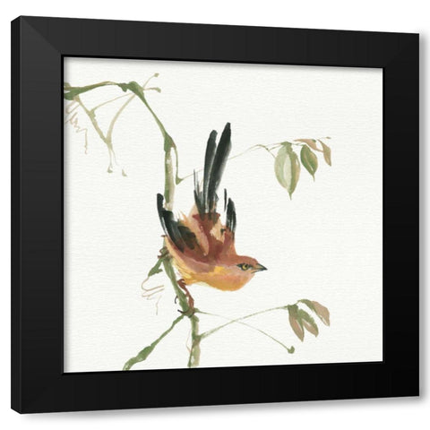 Mountain Bush Warbler Black Modern Wood Framed Art Print with Double Matting by Paschke, Chris