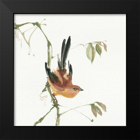 Mountain Bush Warbler Black Modern Wood Framed Art Print by Paschke, Chris