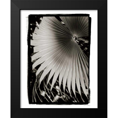 Palm Frond II v2 Black Modern Wood Framed Art Print by Debra, Van Swearingen