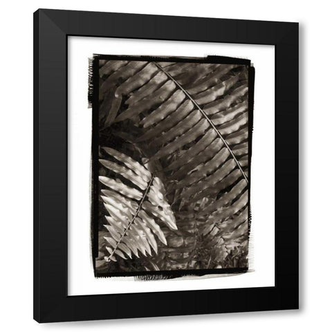 Fern I v2 Black Modern Wood Framed Art Print with Double Matting by Van Swearingen, Debra