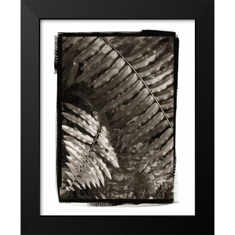 Fern I v2 Black Modern Wood Framed Art Print by Van Swearingen, Debra