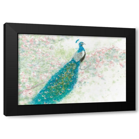 Spring Peacock I Pink Flowers Black Modern Wood Framed Art Print with Double Matting by Wiens, James