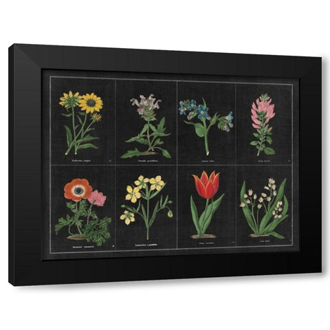 Botanical on Black Chart I Black Modern Wood Framed Art Print by Wild Apple Portfolio