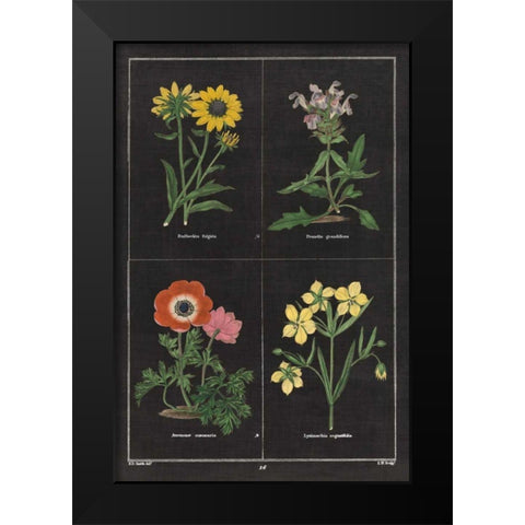 Botanical on Black Chart II Black Modern Wood Framed Art Print by Wild Apple Portfolio