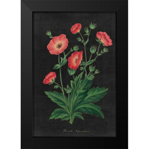 Botanical on Black Chart XII Black Modern Wood Framed Art Print by Wild Apple Portfolio