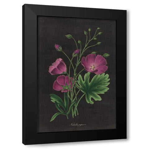 Botanical on Black Chart XIII Black Modern Wood Framed Art Print by Wild Apple Portfolio