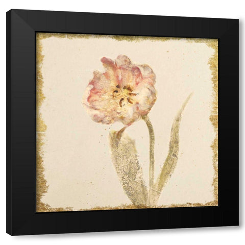Vintage May Wonder Tulip Crop Black Modern Wood Framed Art Print by Blum, Cheri