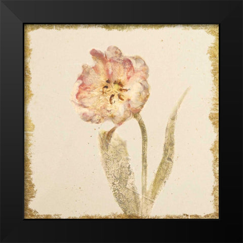 Vintage May Wonder Tulip Crop Black Modern Wood Framed Art Print by Blum, Cheri