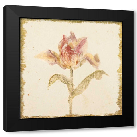 Vintage Zoomer Schoon Tulip Crop Black Modern Wood Framed Art Print by Blum, Cheri