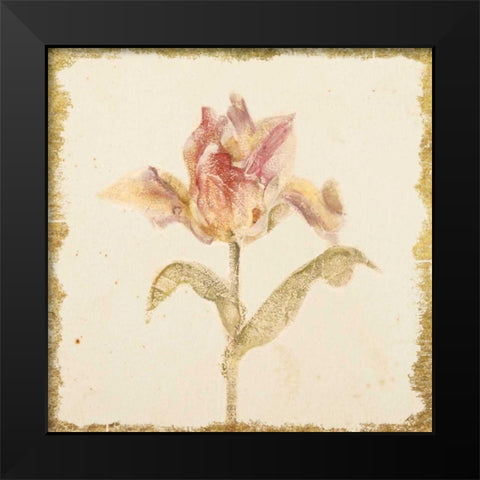 Vintage Zoomer Schoon Tulip Crop Black Modern Wood Framed Art Print by Blum, Cheri