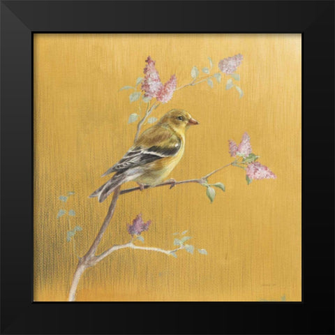 Female Goldfinch on Gold Black Modern Wood Framed Art Print by Nai, Danhui