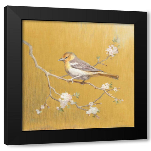 Northern Oriole on Gold Black Modern Wood Framed Art Print with Double Matting by Nai, Danhui