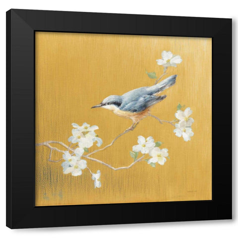 Nuthatch on Gold Black Modern Wood Framed Art Print with Double Matting by Nai, Danhui