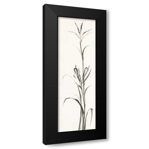 Gray Grasses IV Black Modern Wood Framed Art Print by Paschke, Chris