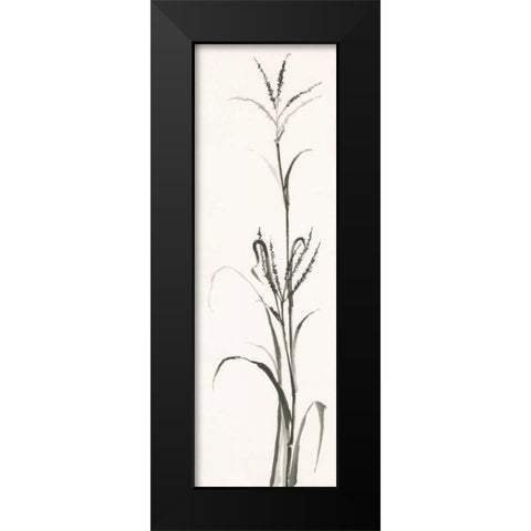 Gray Grasses IV Black Modern Wood Framed Art Print by Paschke, Chris