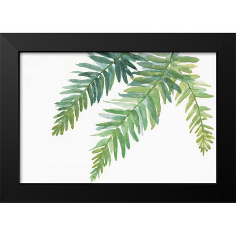 Ferns I Black Modern Wood Framed Art Print by Paschke, Chris