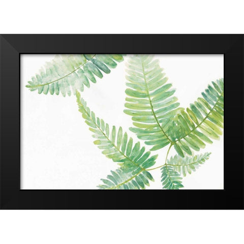 Ferns II Black Modern Wood Framed Art Print by Paschke, Chris