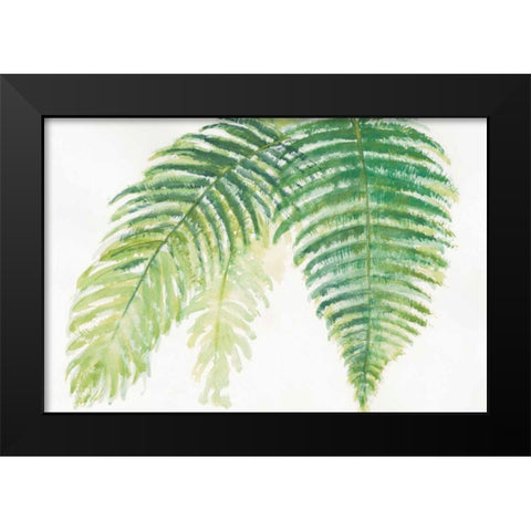 Ferns III Black Modern Wood Framed Art Print by Paschke, Chris