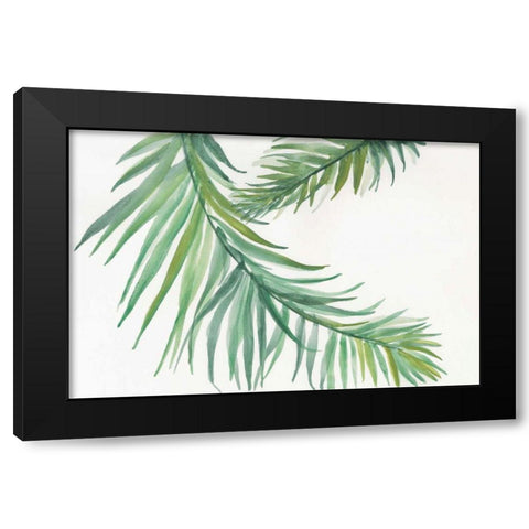 Ferns IV Black Modern Wood Framed Art Print by Paschke, Chris
