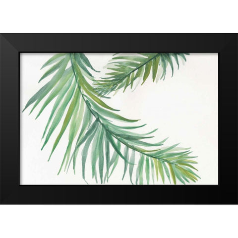 Ferns IV Black Modern Wood Framed Art Print by Paschke, Chris
