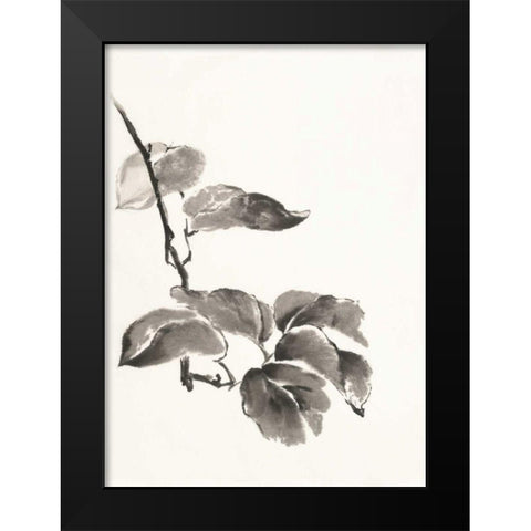 Sumi Kiwi Black Modern Wood Framed Art Print by Paschke, Chris