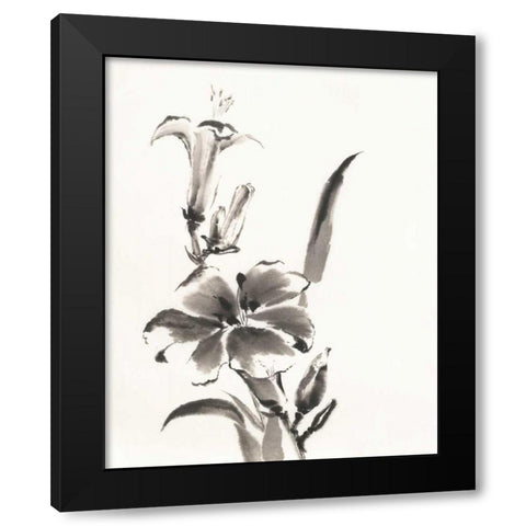 Sumi Daylily III Black Modern Wood Framed Art Print with Double Matting by Paschke, Chris