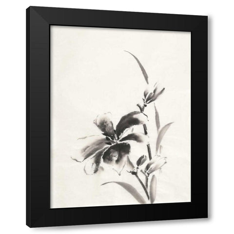 Sumi Daylily IV Black Modern Wood Framed Art Print by Paschke, Chris