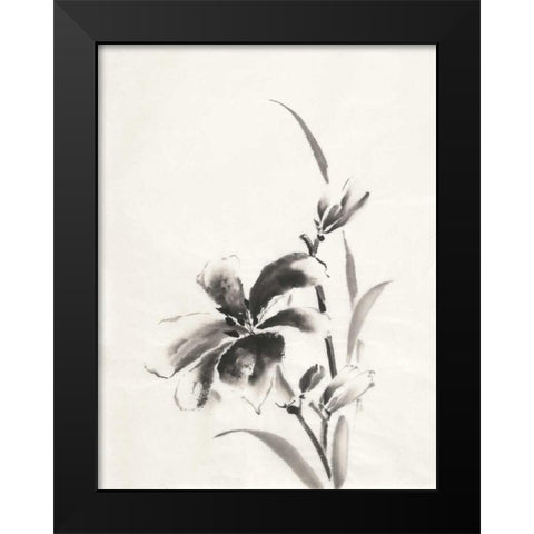 Sumi Daylily IV Black Modern Wood Framed Art Print by Paschke, Chris