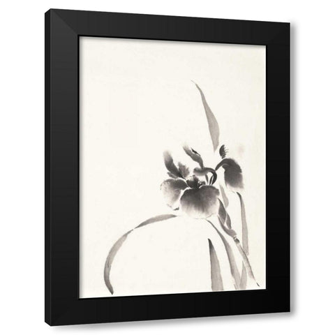 Japanese Iris I Black Modern Wood Framed Art Print with Double Matting by Paschke, Chris