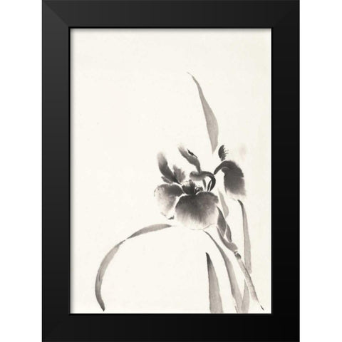 Japanese Iris I Black Modern Wood Framed Art Print by Paschke, Chris