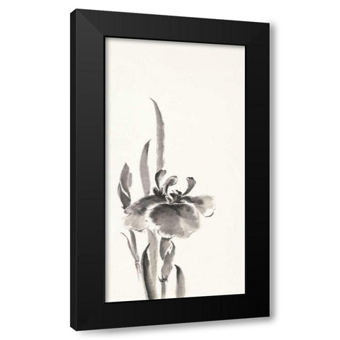 Japanese Iris II Black Modern Wood Framed Art Print by Paschke, Chris