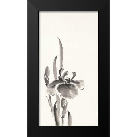 Japanese Iris II Black Modern Wood Framed Art Print by Paschke, Chris