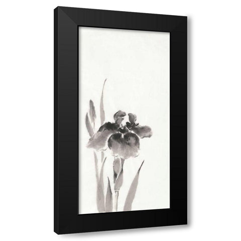 Japanese Iris III Black Modern Wood Framed Art Print by Paschke, Chris