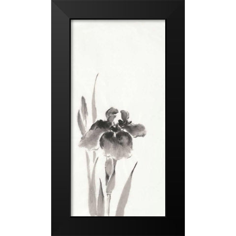 Japanese Iris III Black Modern Wood Framed Art Print by Paschke, Chris