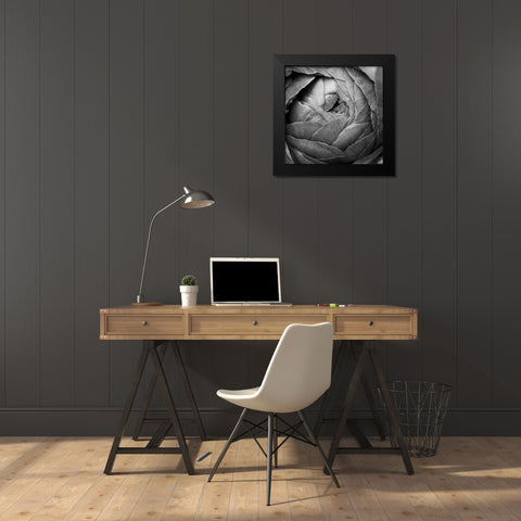 Ranunculus Abstract III BW Black Modern Wood Framed Art Print by Marshall, Laura