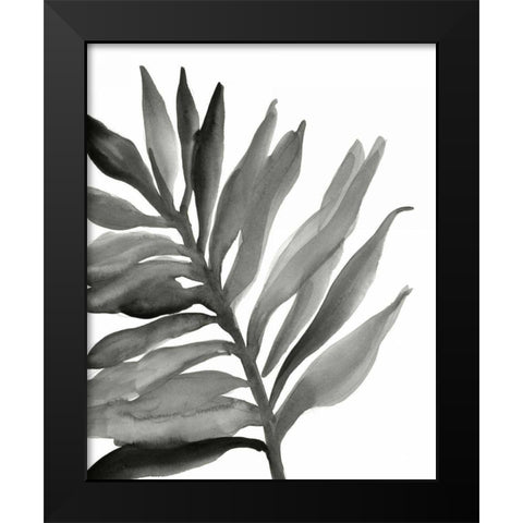 Tropical Palm III BW Black Modern Wood Framed Art Print by Paschke, Chris