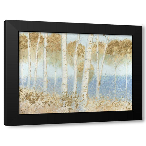 Summer Birches Black Modern Wood Framed Art Print by Wiens, James