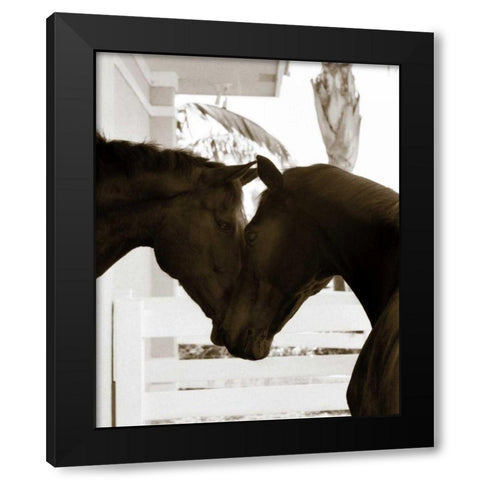 Good Friends Black Modern Wood Framed Art Print by Dratfield, Jim