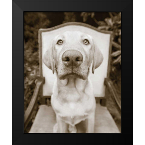 Sitting Black Modern Wood Framed Art Print by Dratfield, Jim