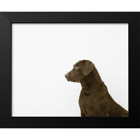 I See You Crop Black Modern Wood Framed Art Print by Dratfield, Jim
